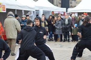 hunggarnancy-artsmartiaux-wushu-kungfu-nouvelanchinois-28janvier2017-9